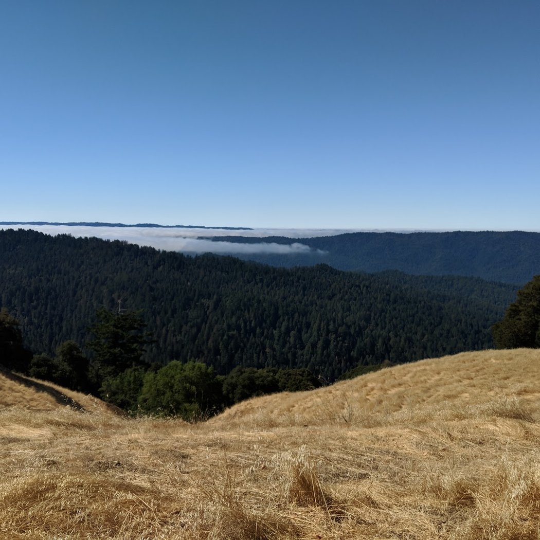 Peters Creek Trailhead 3