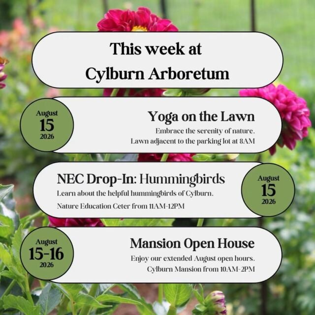 NEC Drop-in: Helpful Hummingbirds