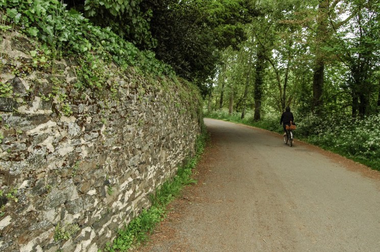 Promenade de la Sévre Nantaise 2