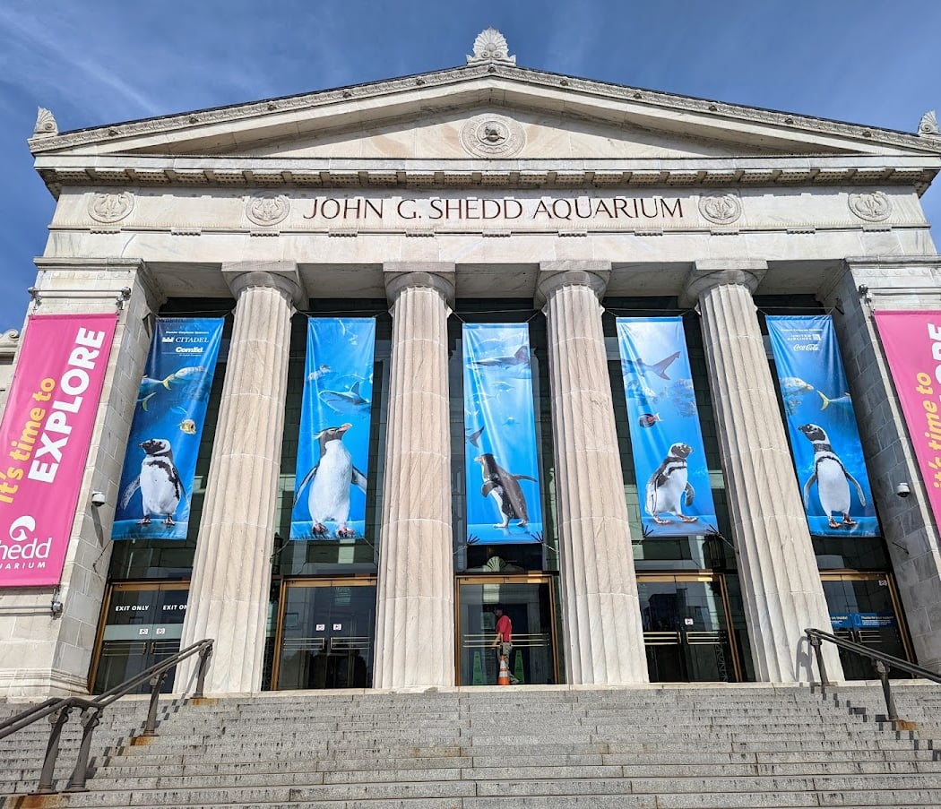 Shedd Aquarium 2