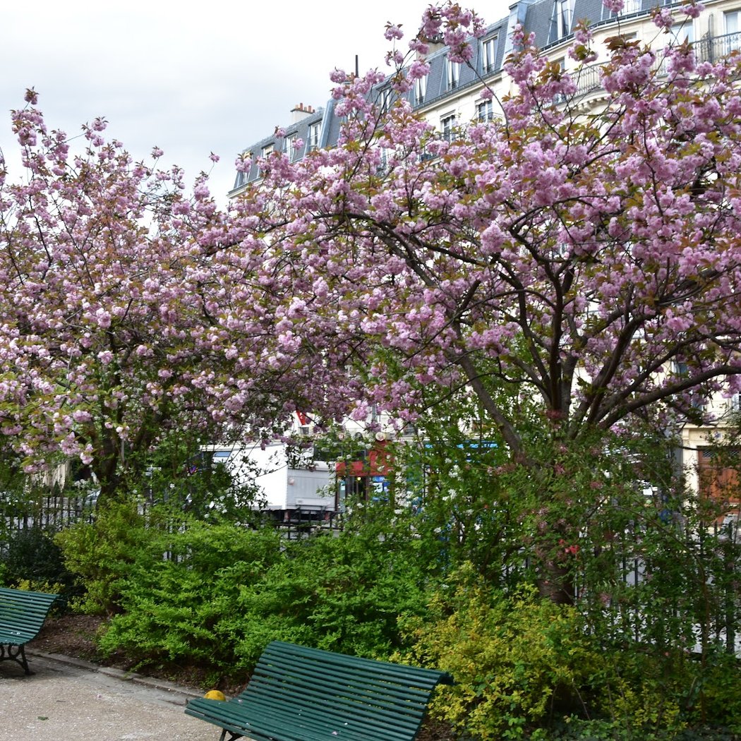 Square Paul Langevin 1