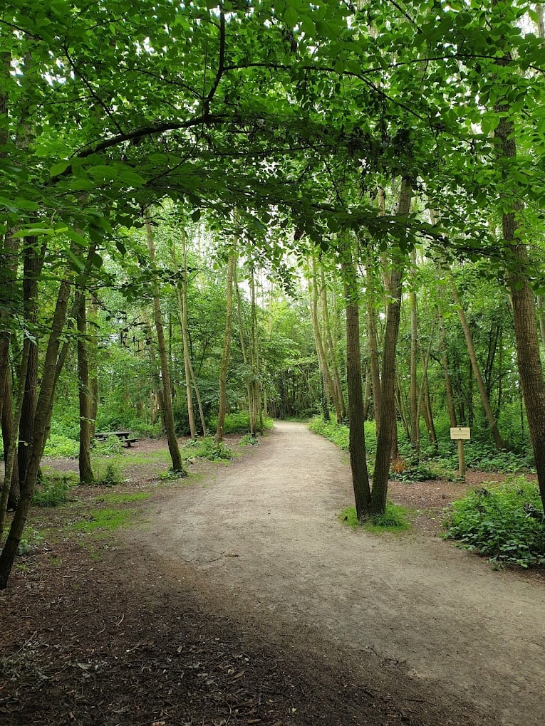 Mills Park 2