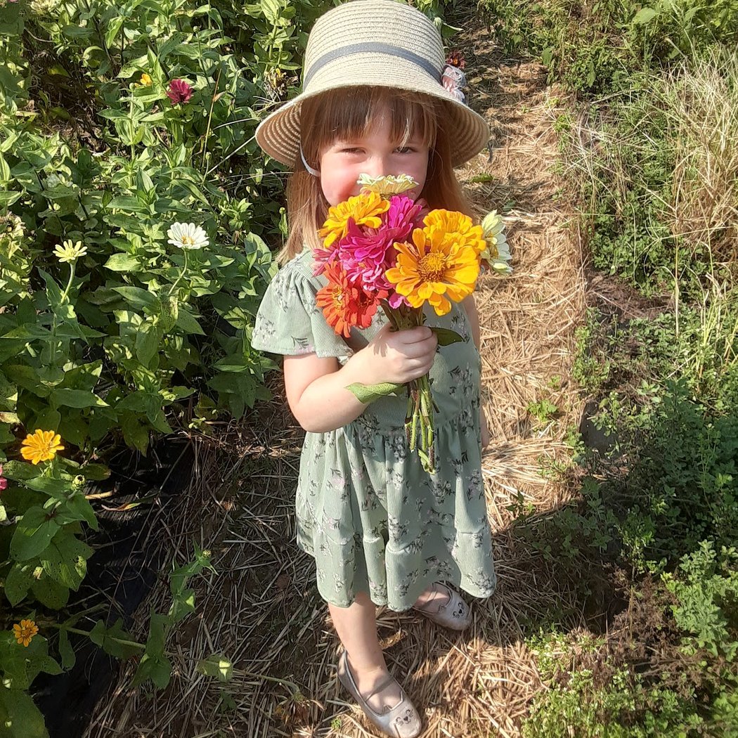 Easy Pickin's Orchard 3