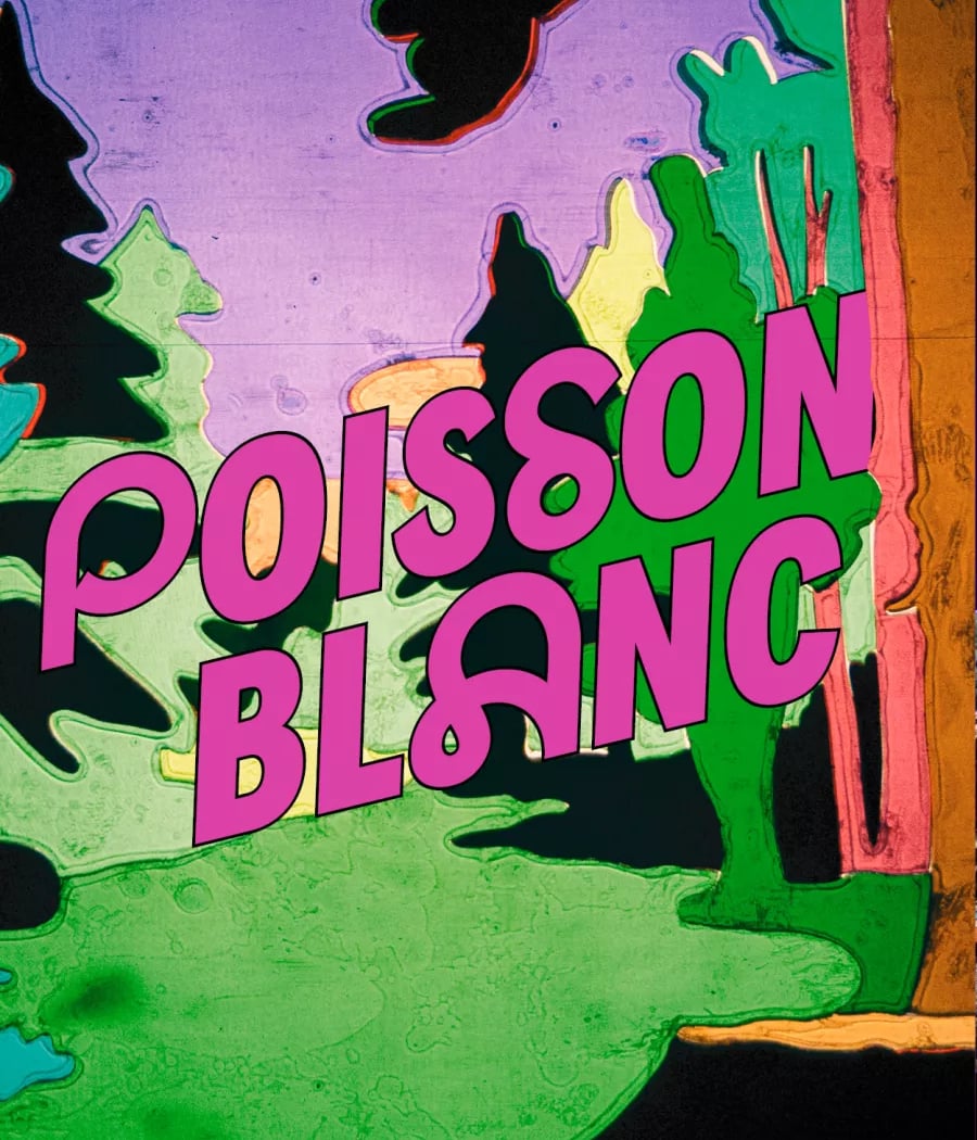 POISSON BLANC 1