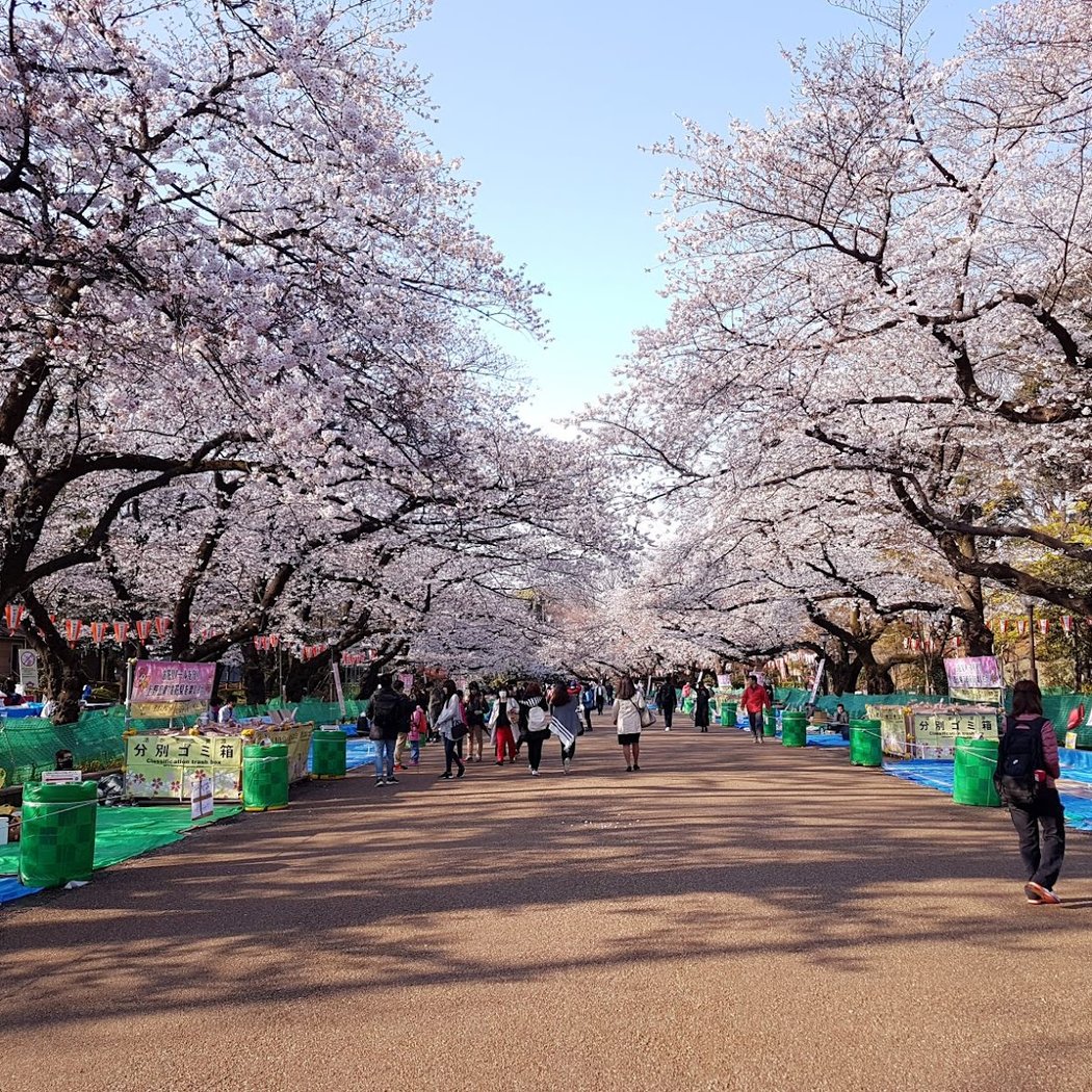 Ueno Park 1