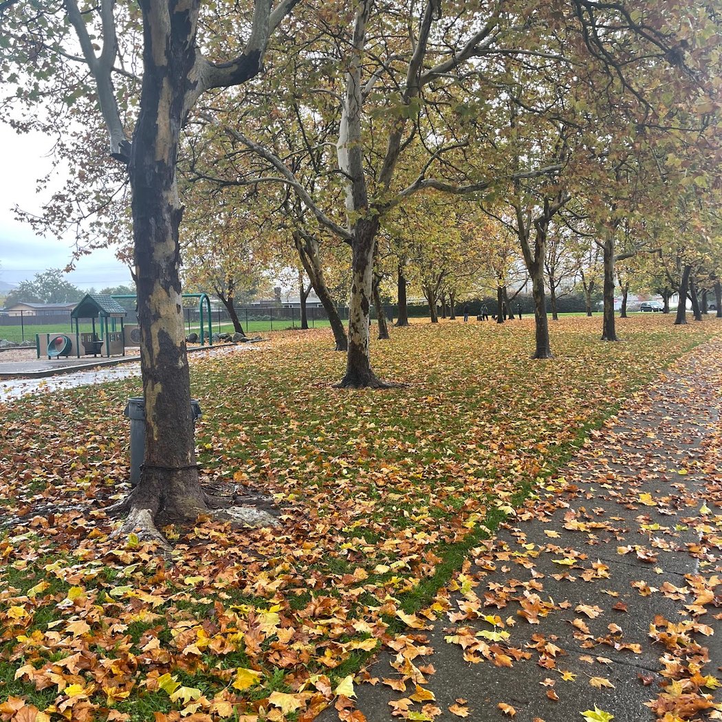 Matanzas Park 2