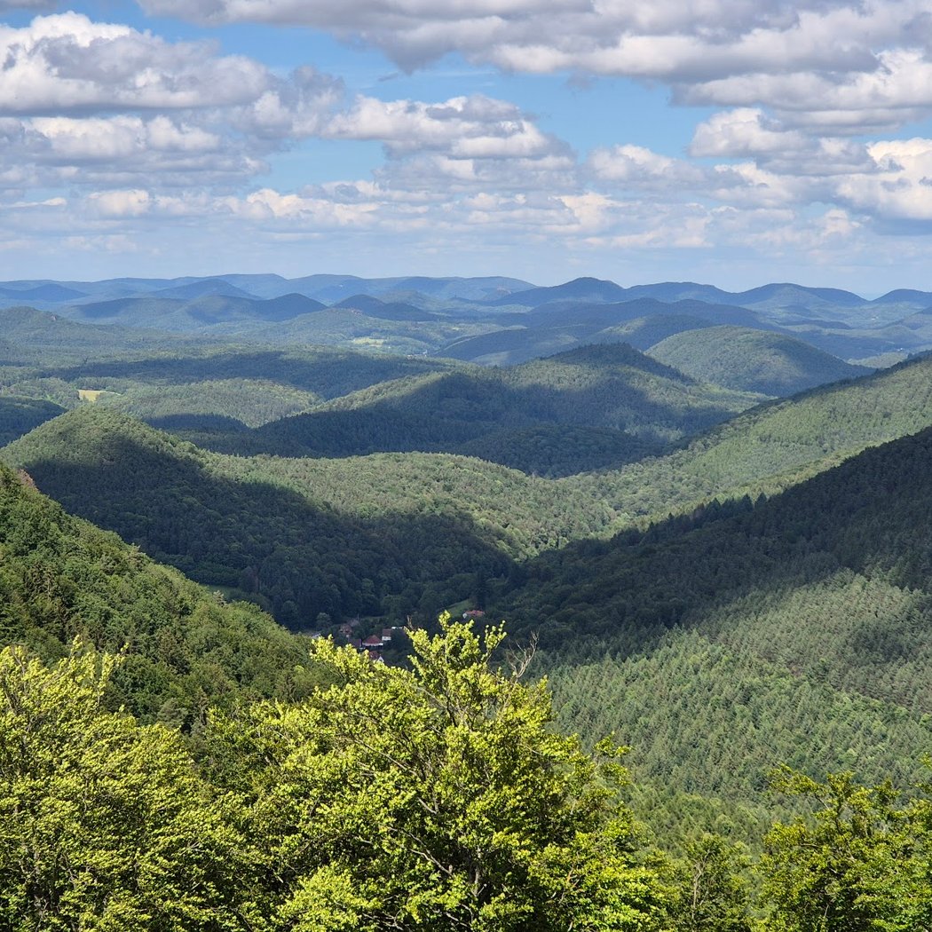 North Vosges Regional Natural Reserve 1