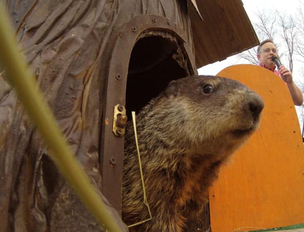 Groundhog Day Celebration 1
