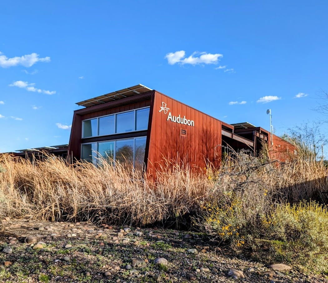 Guided Nature Walk at Rio Salado 3