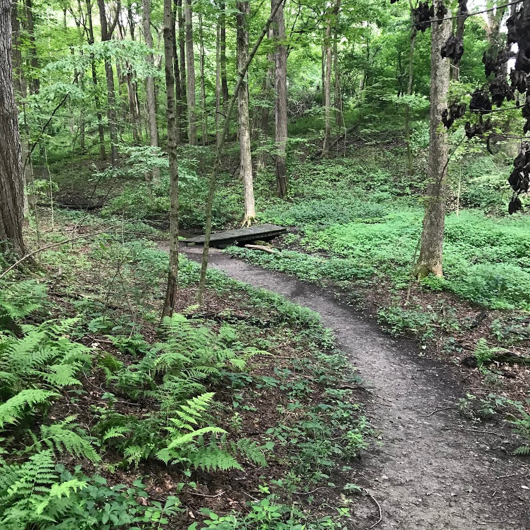 Martin Van Buren Nature Trail 1