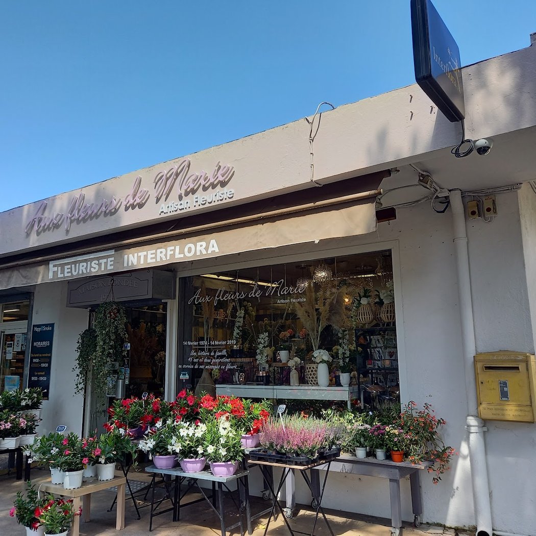 Aux Fleurs De Marie-Terre De Provence 2