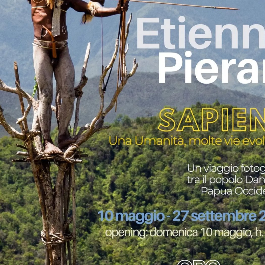 Sapiens 3