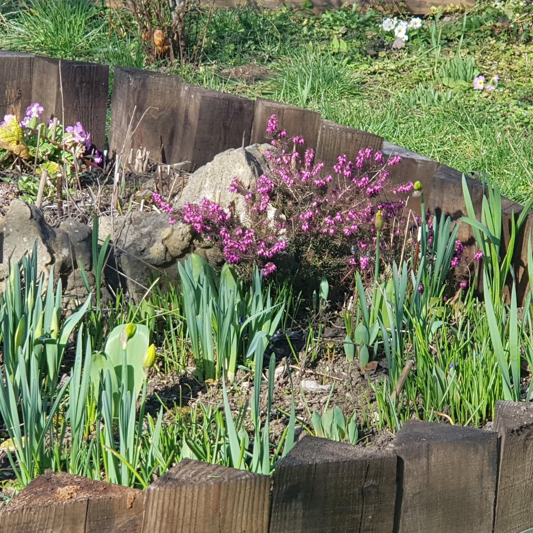 Jardins familiaux "Les Près" 2