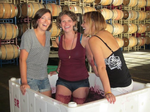 3rd Annual Grape Stomp Festival 1