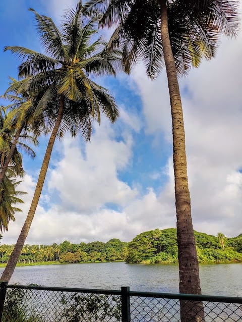 Lalbagh Lake 1