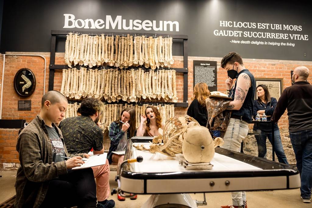 The Bone Museum 3