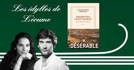 Rencontre avec François-Henri Désérable 1