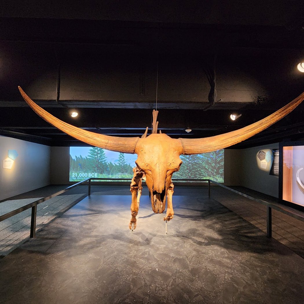 Museum of Natural History & Science 3