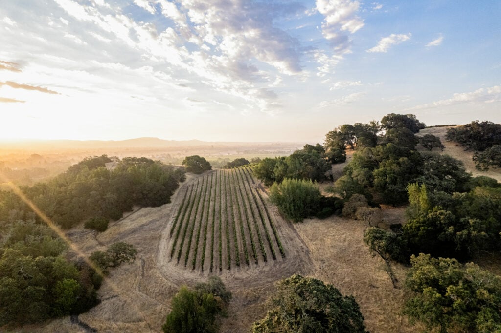 Dunstan Wines - Durell Vineyard 1