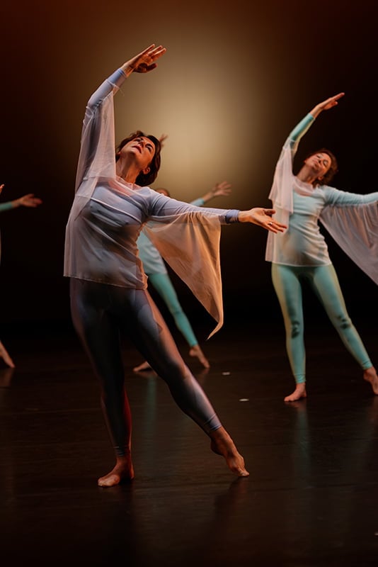 La Danse Alain et Françoise Chantraine 2