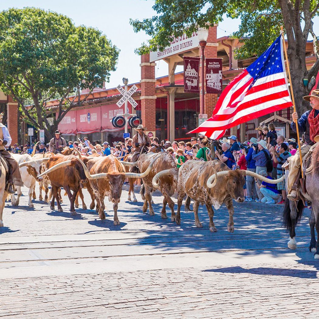 Fort Worth Stockyards Cattle Drive