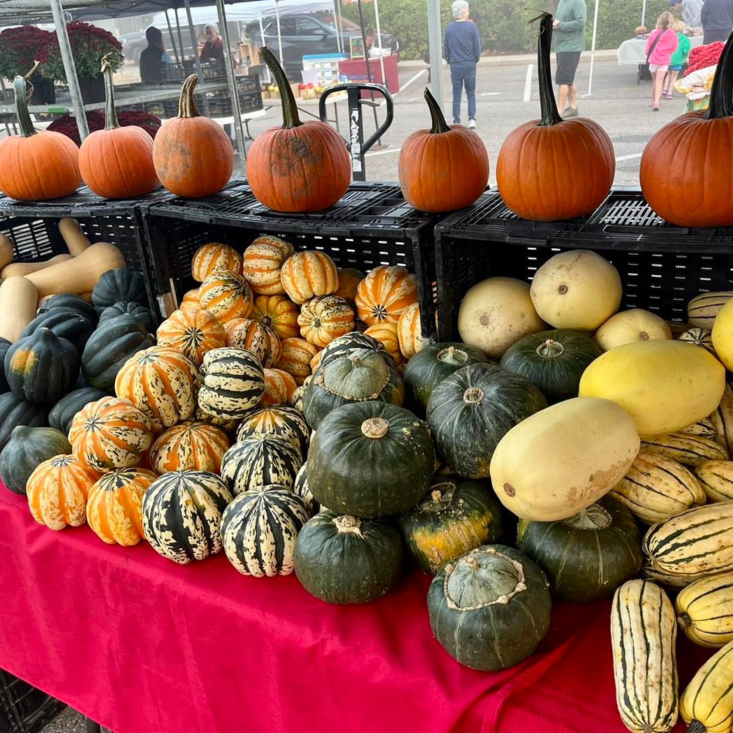 Saline Farmers Market 1