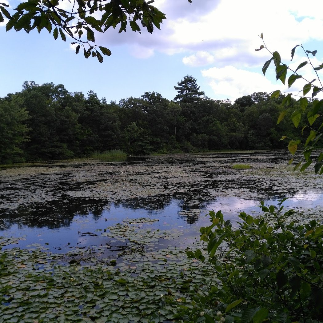 Hiking Trail Parking Area 2