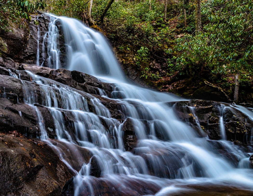 Great Smoky Mountains National Park 4