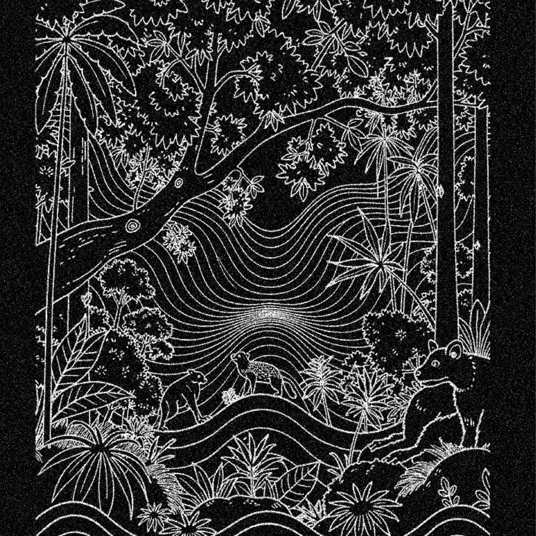Forêts augmentées 2