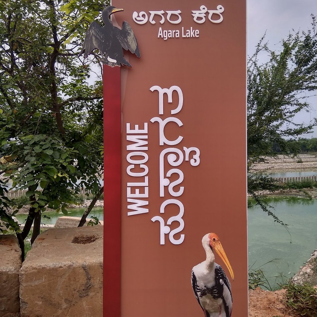 Agara Lake Walk with City Girls Bangalore 3