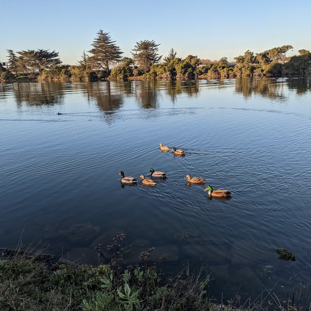 Aquatic Park 2