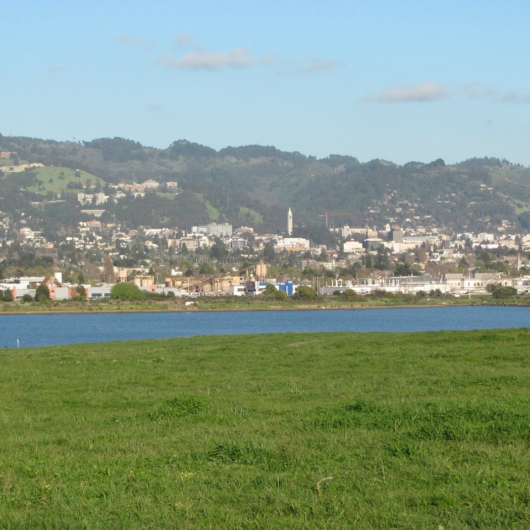 Large Picnic Area 3