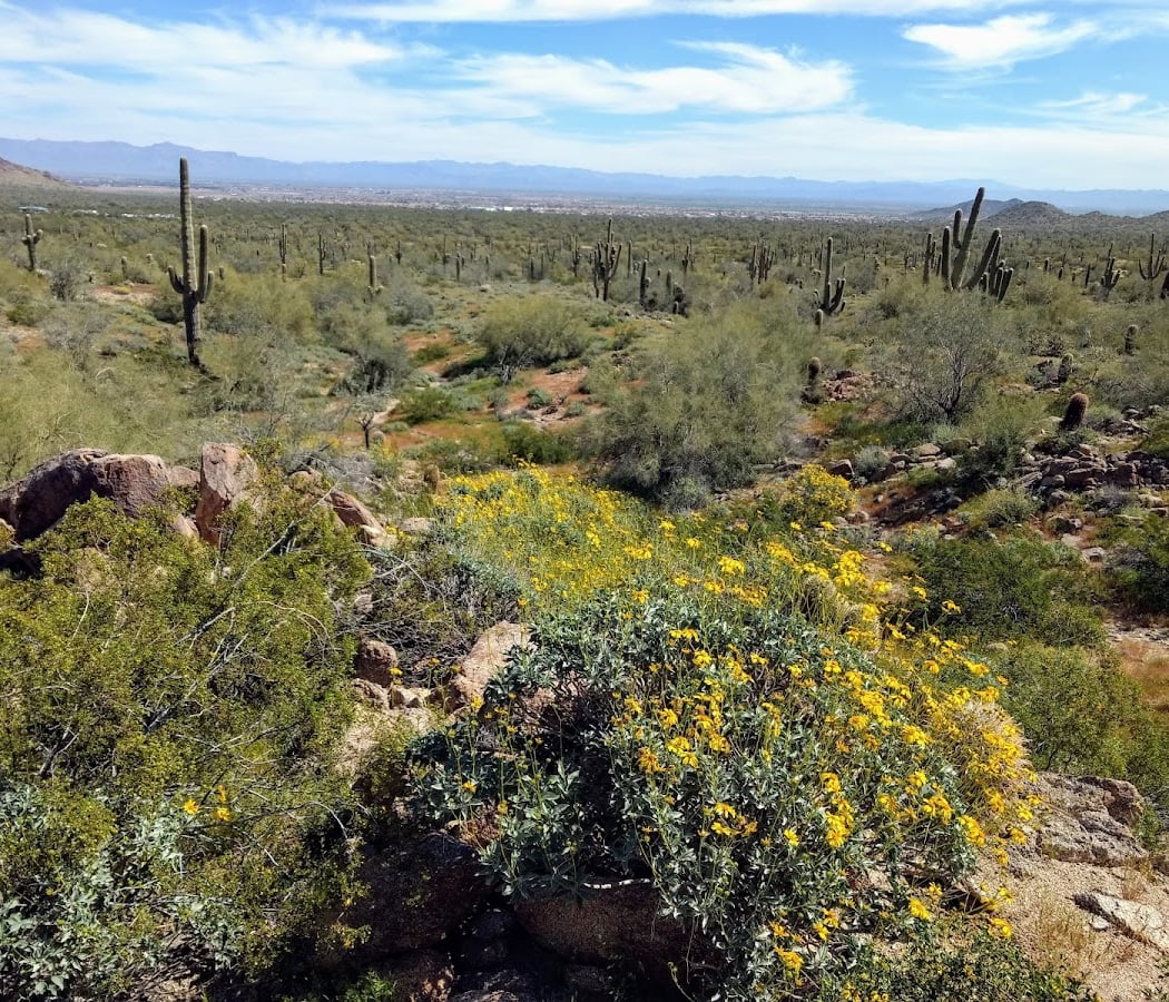 San Tan Mountain Regional Park 1