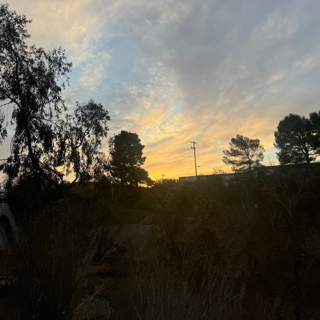 Los Gatos Creek Trail and Bridge 2