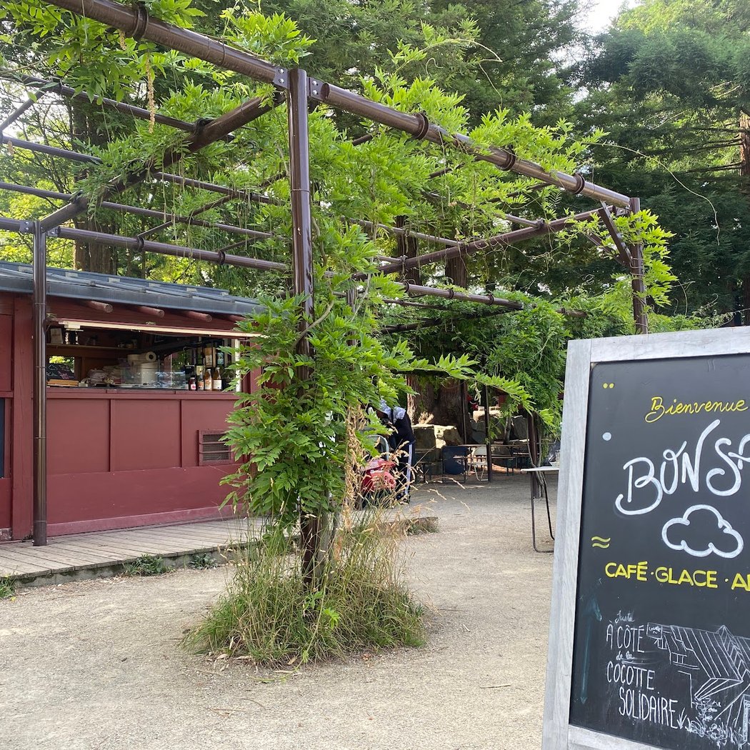 Bonsaï (ré-ouverture le samedi 4 avril 🤓) 3