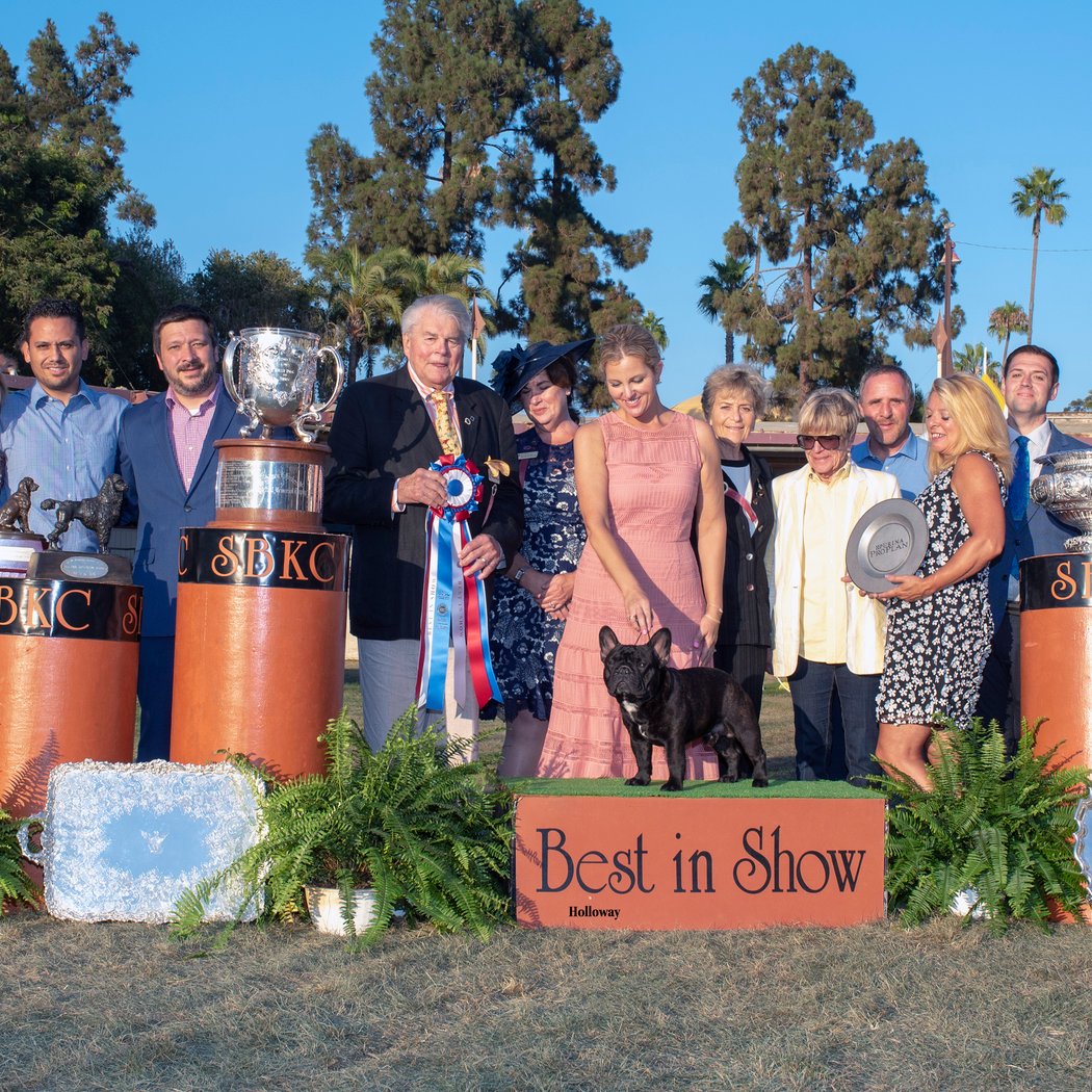 Santa Barbara Kennel Club Show 3