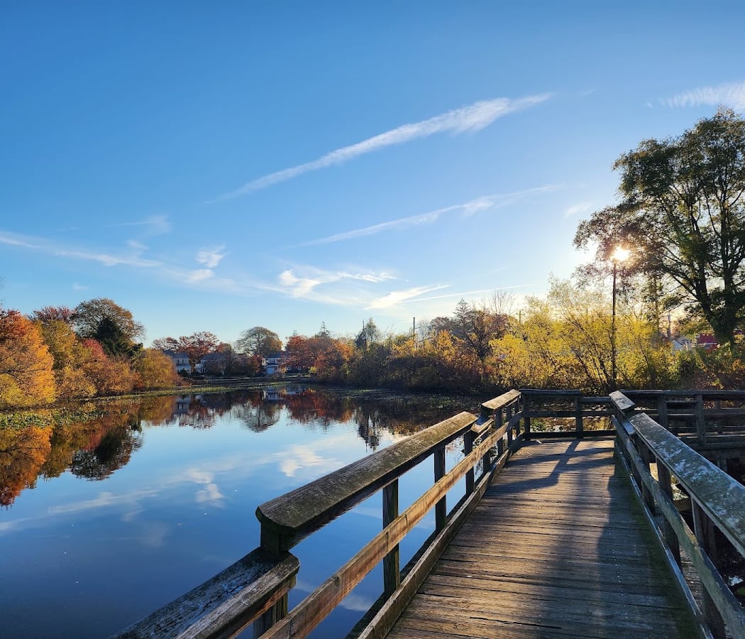 Lofts Pond Park 1