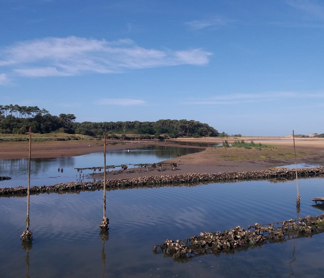 Estuaire du Payré en Vendée 2