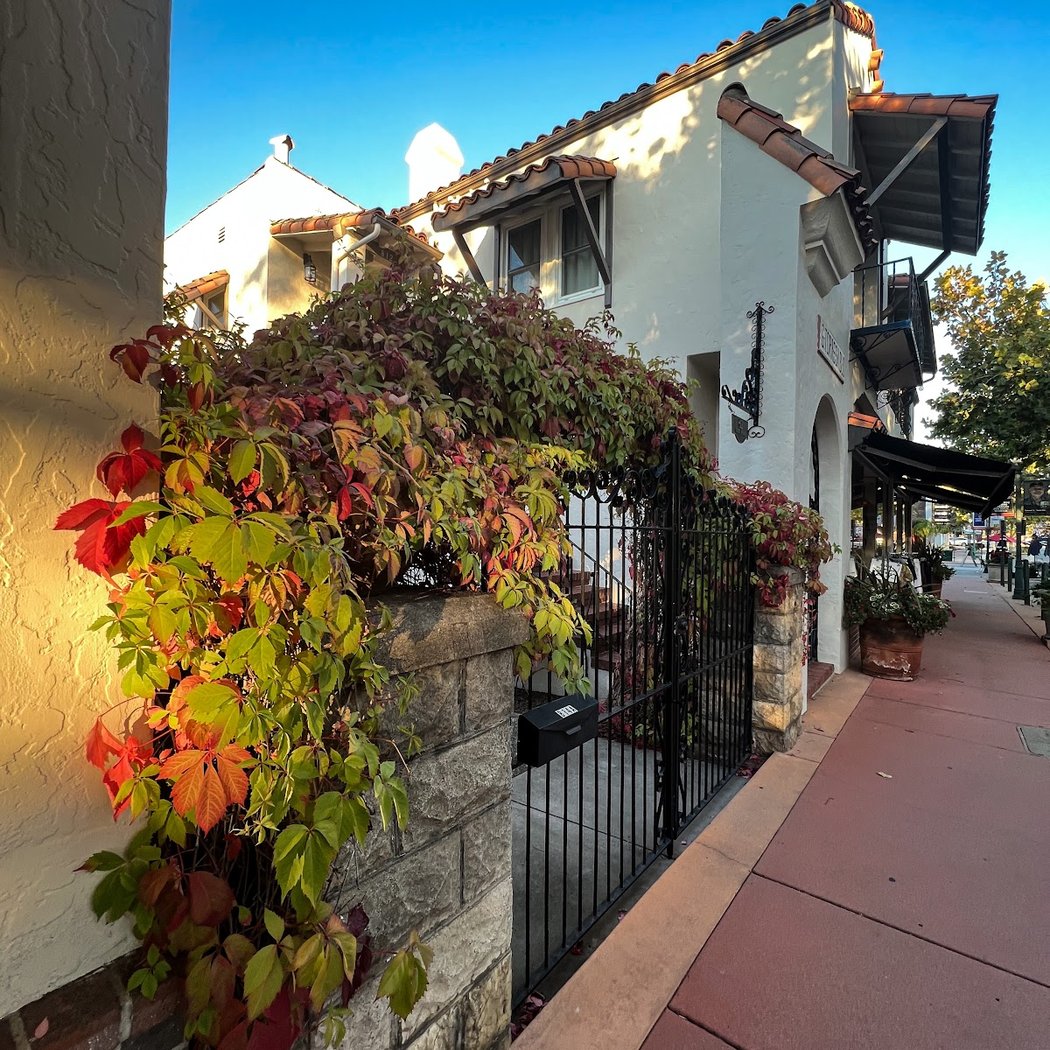 Novato Art Wine & Music Festival 2026 3