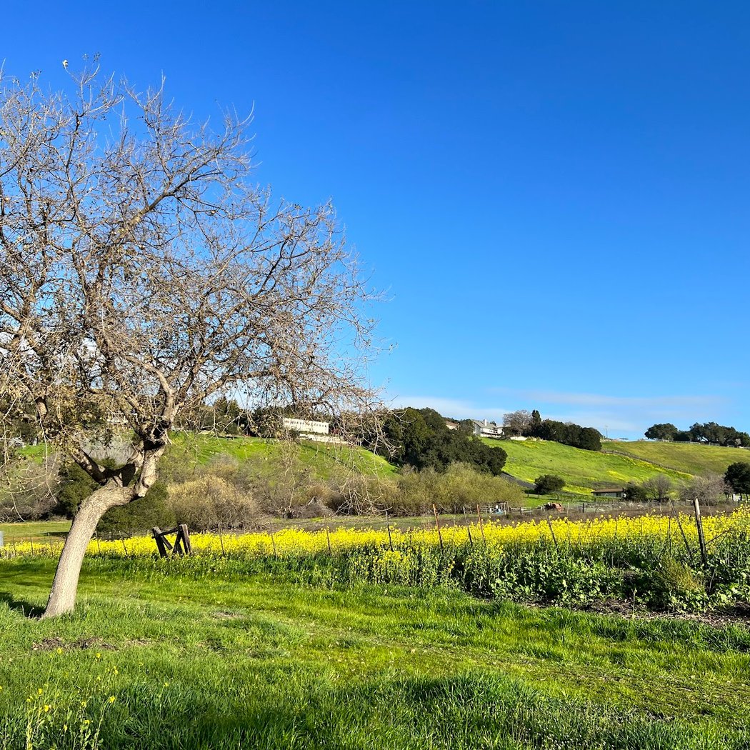 Spring Valley Trail 2