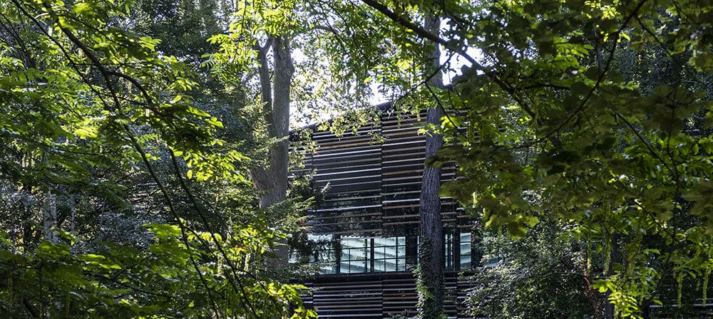 Visite saisonnière : Printemps japonais 2