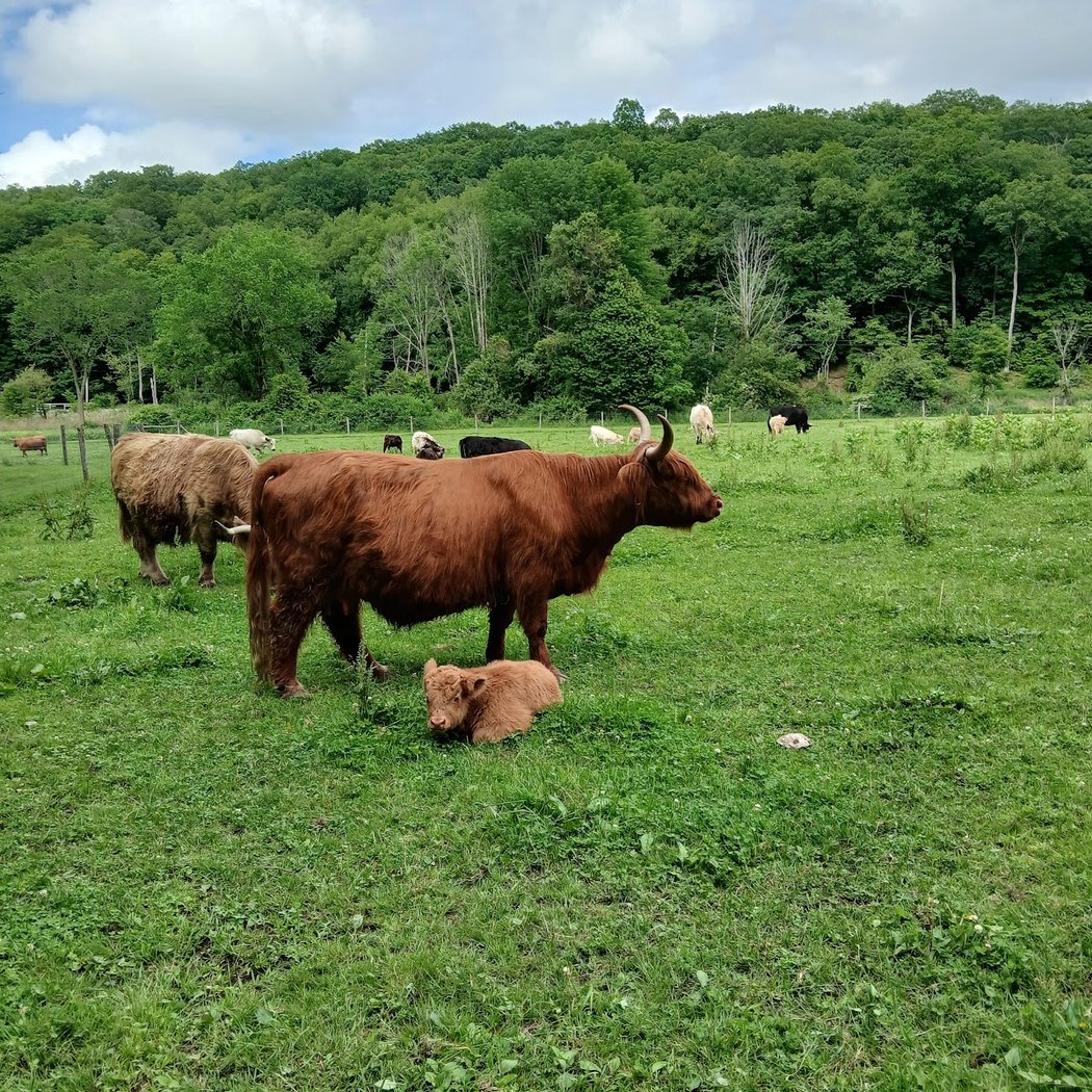 Elk Ravine Farm 2