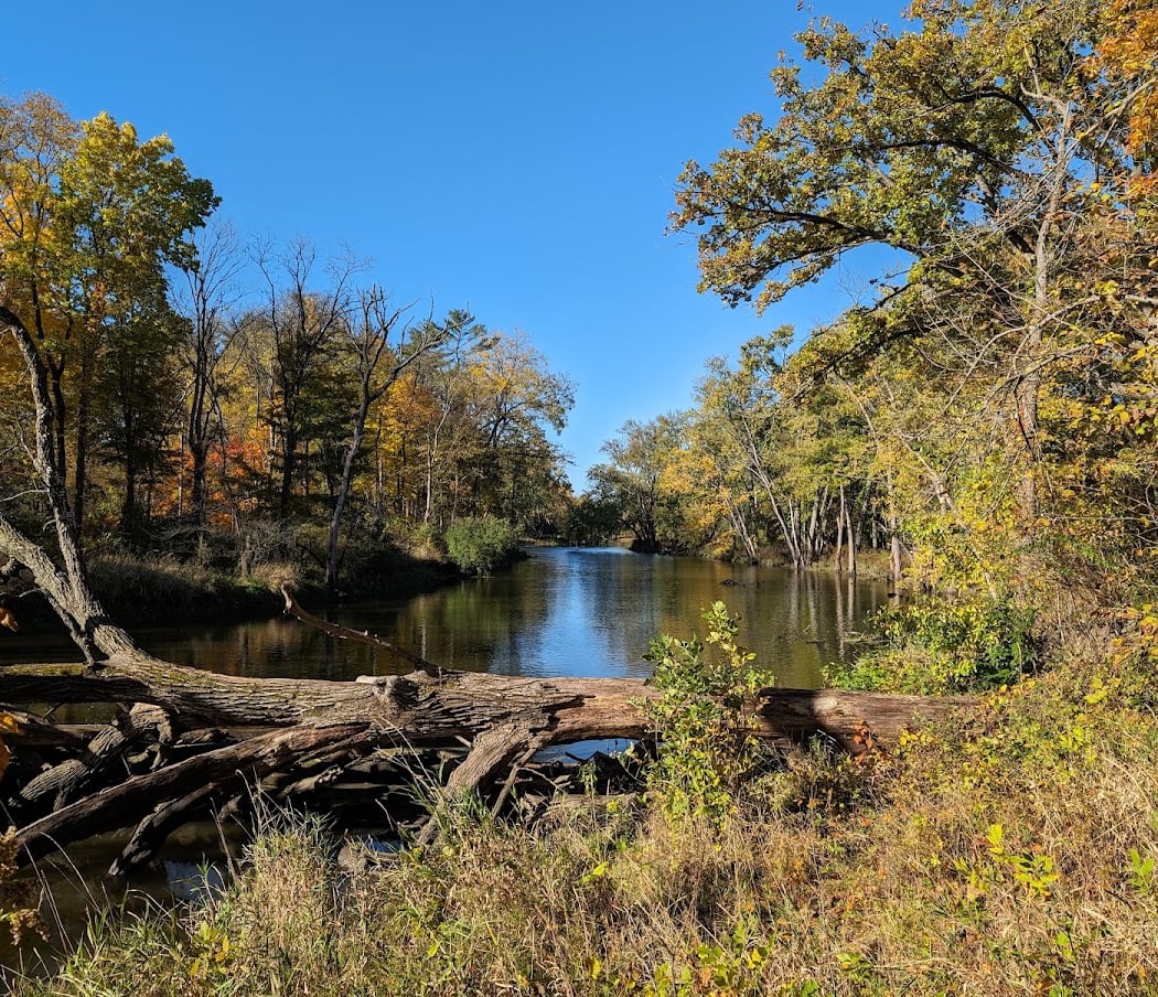 Edward L. Ryerson Conservation Area 2