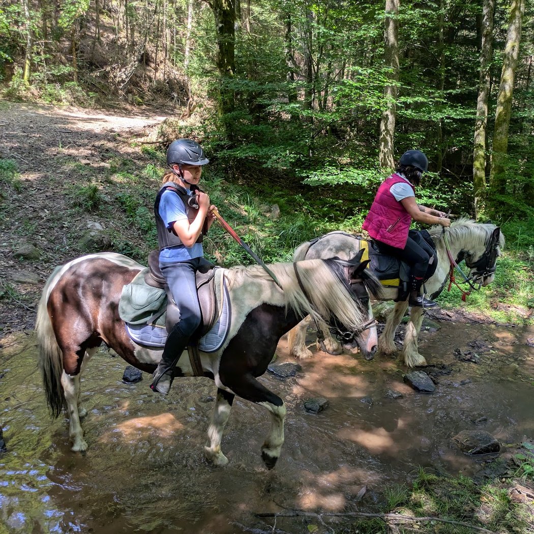 Journées poney spéciales Pâques 3