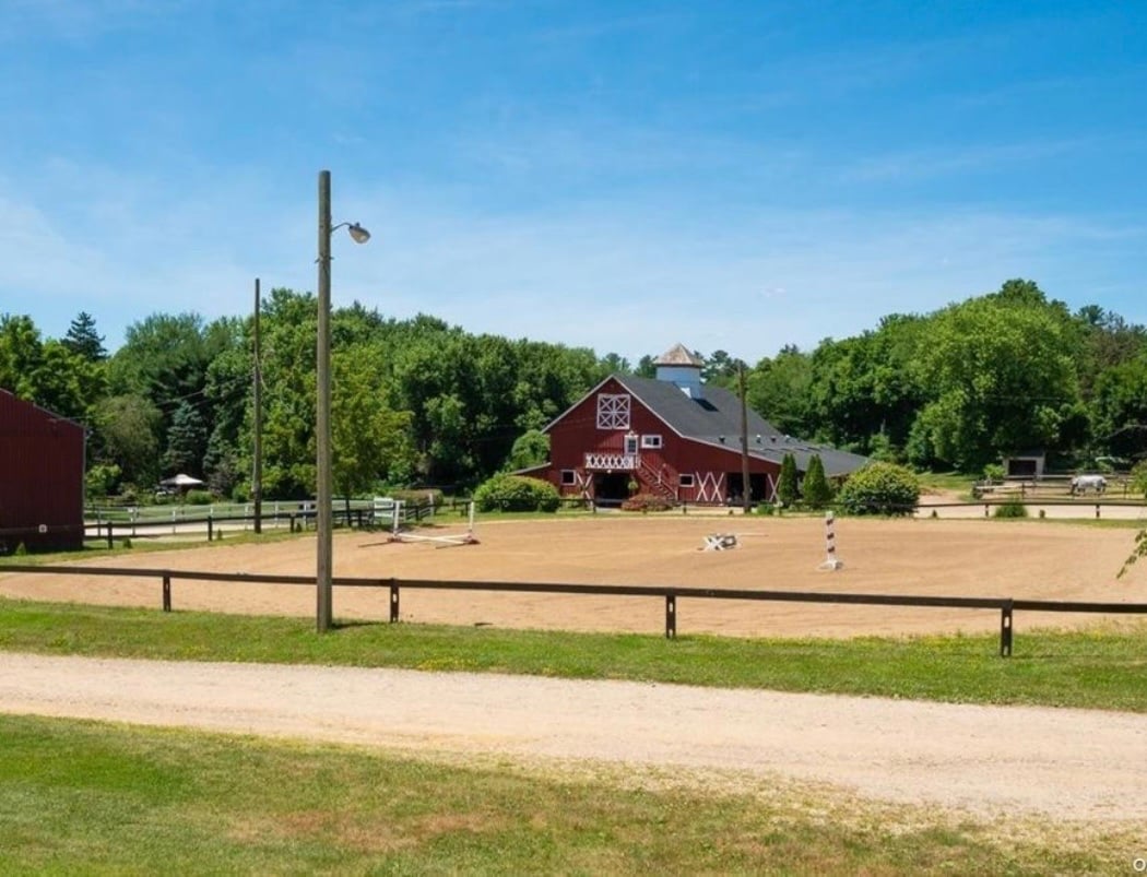 Aureliano Equestrian 3