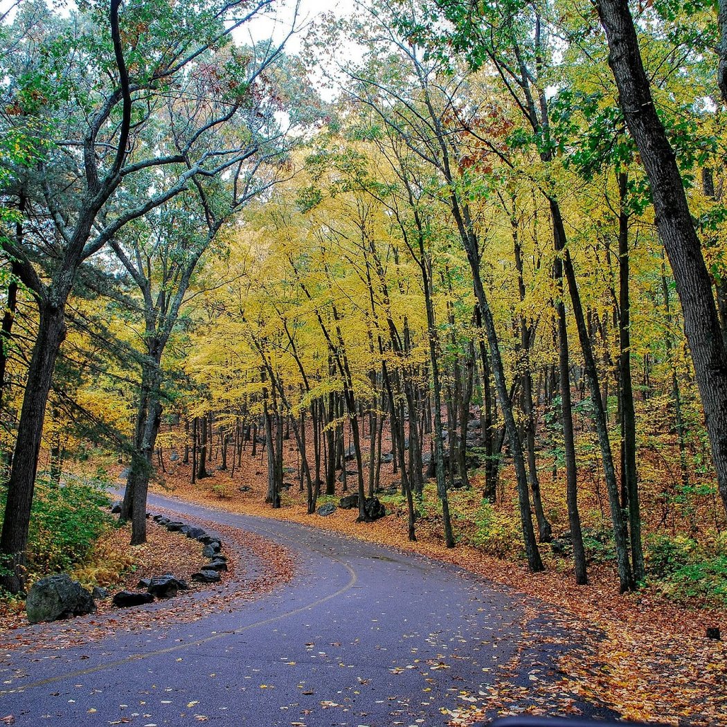 Lincoln Woods State Park 1