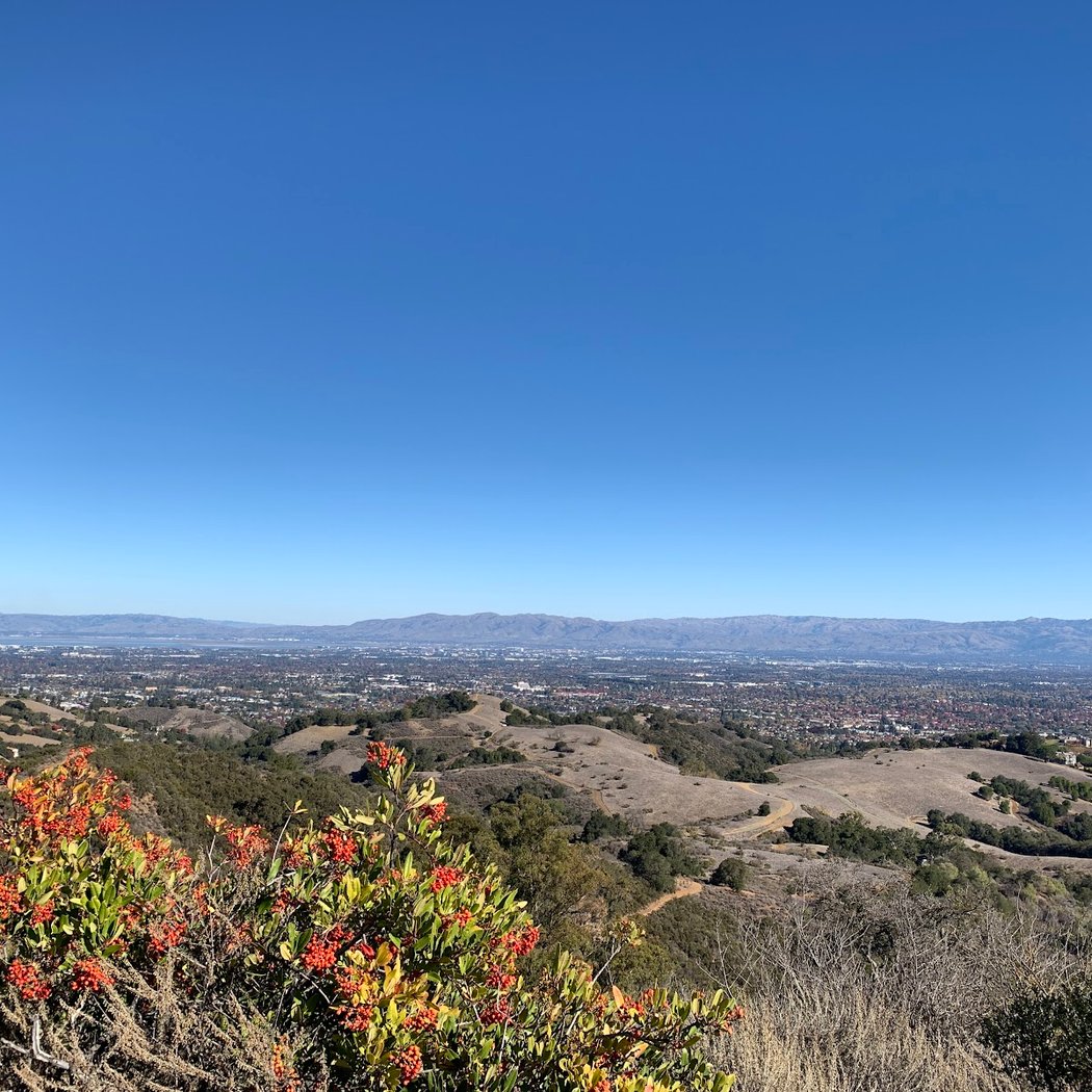 Maisie's Peak 2