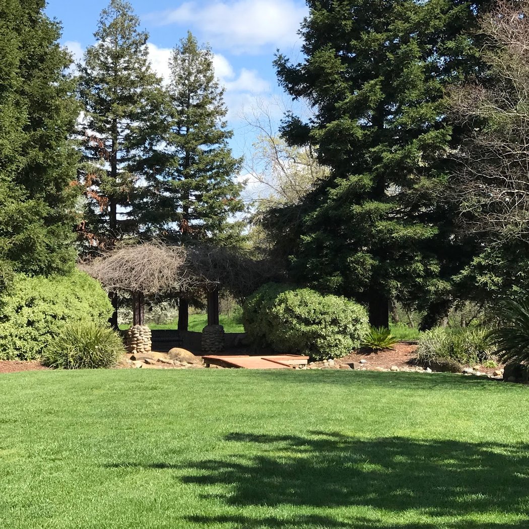 Vacaville Tiny Weddings 3