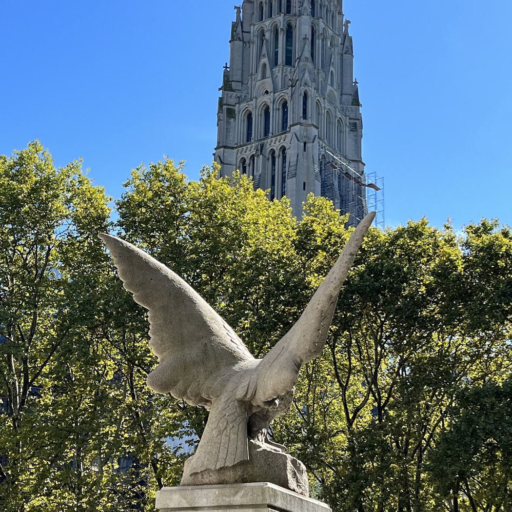 Birding for Kids 1