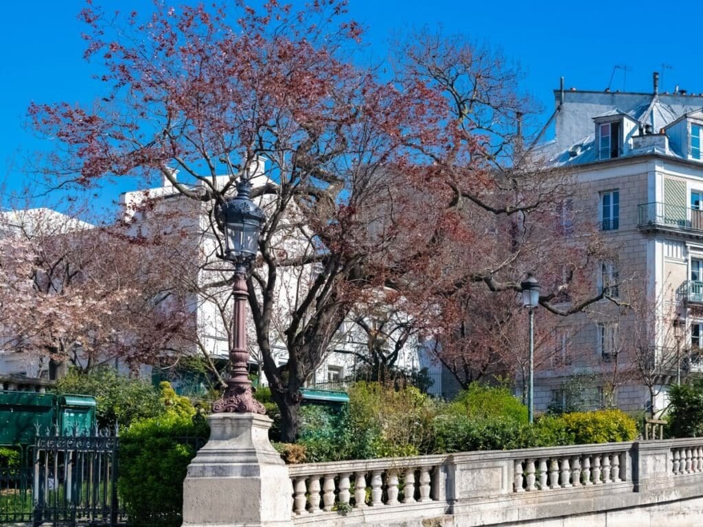 Cherry Blossom Street 2